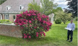 Design of ADA Path at Munson Memorial Library Hinges on Rhododendron